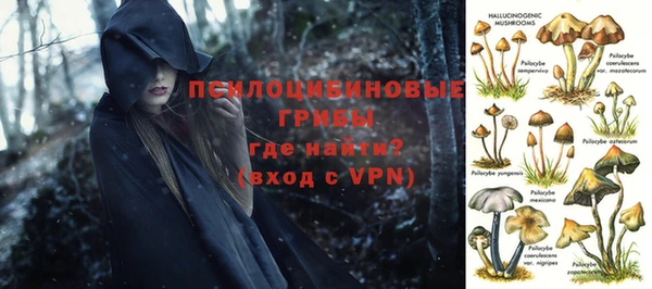 тгк Абинск