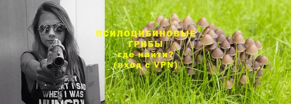 тгк Абинск