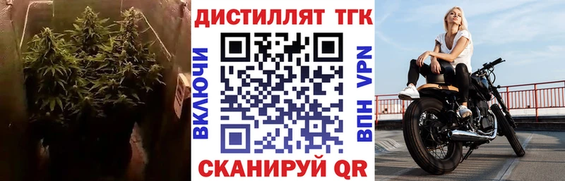 ТГК Wax  Собинка 