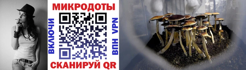 Галлюциногенные грибы мицелий  Собинка 